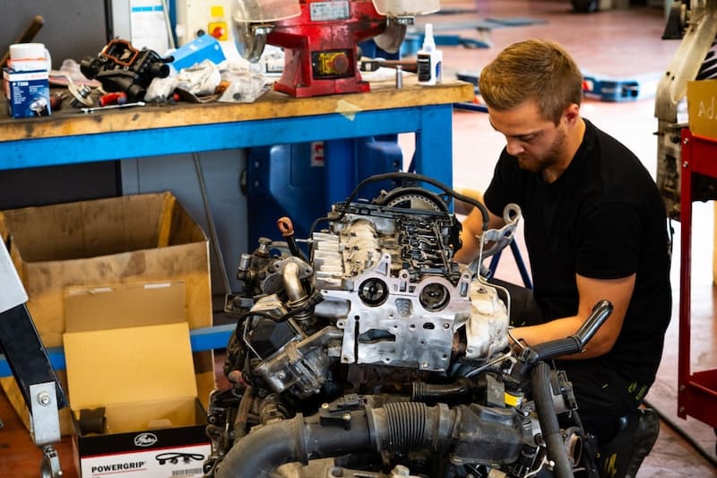 Pagal Collection - Historique vérifié