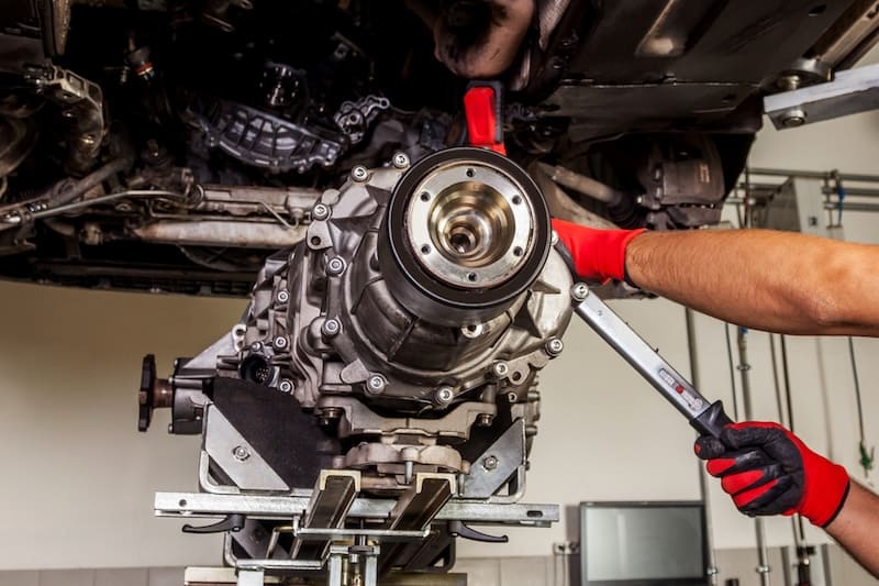 Pagal Collection - Historique vérifié